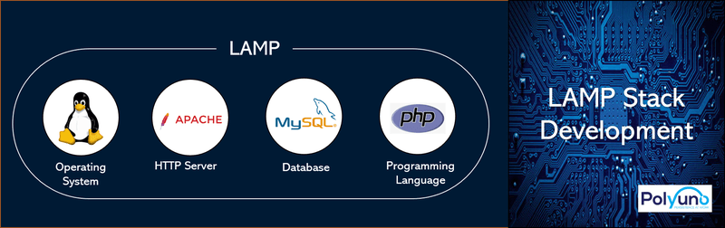 Web Development Tech Stacks to Master in 2022 4