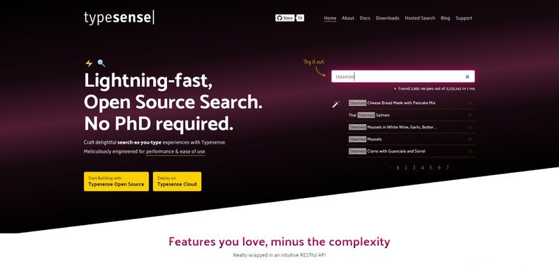SaaS Development Tools - The Ultimate List For 2022 18 (Photo from https://typesense.org)