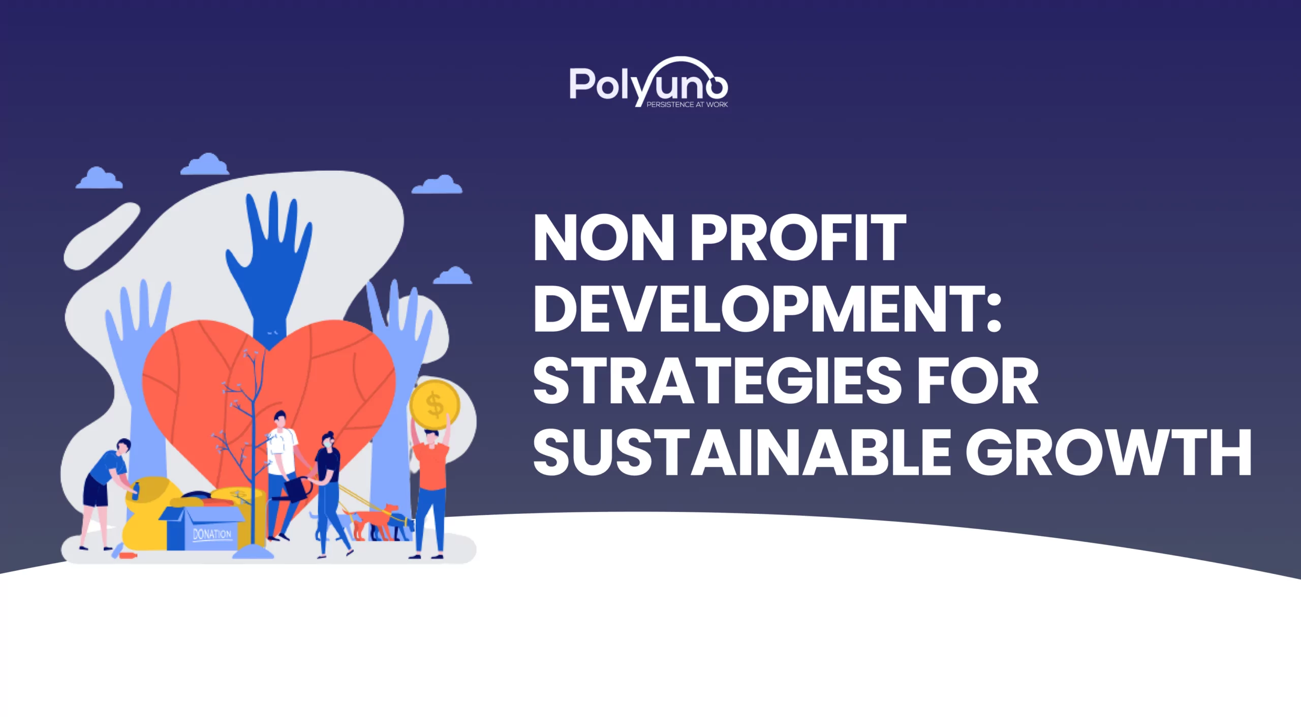 non profit development