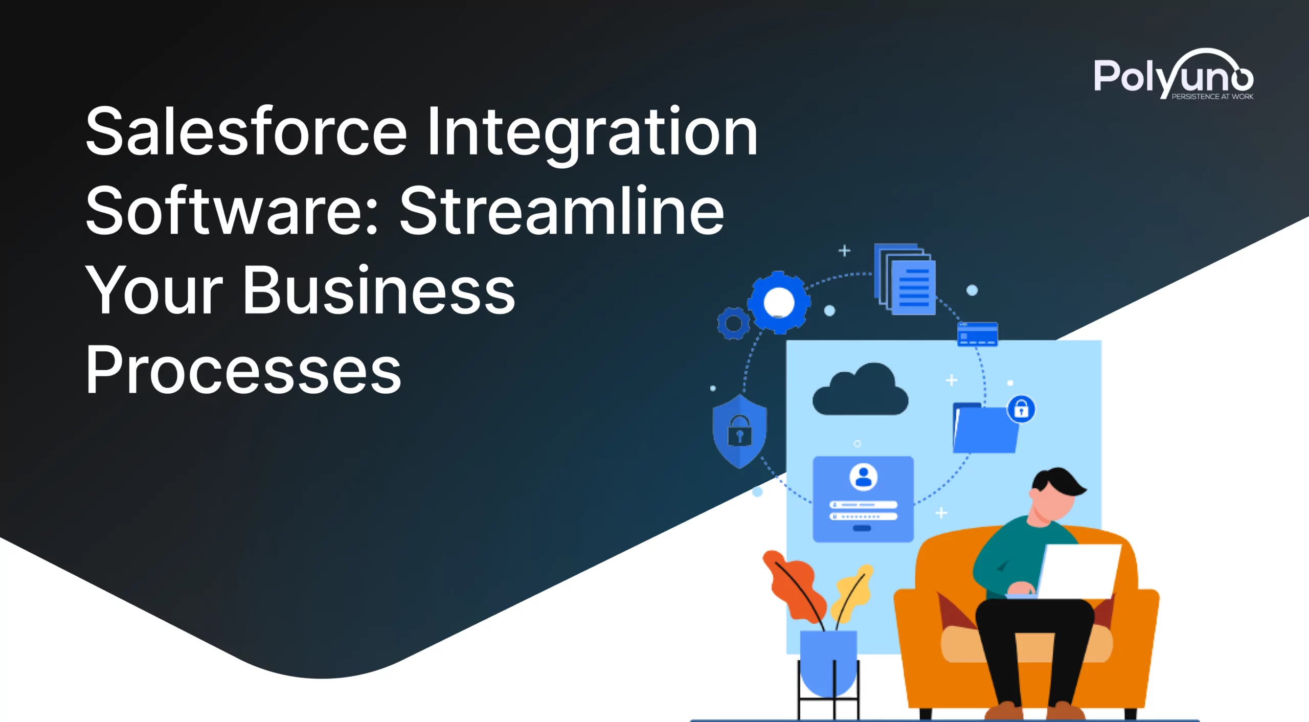 Salesforce Integration Software
